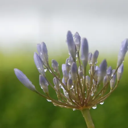 Slieve Elva * 리스둔바르나