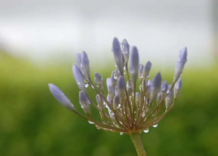 Slieve Elva * Lisdoonvarna