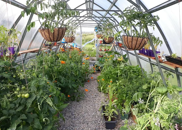 Bed and breakfast Slieve Elva