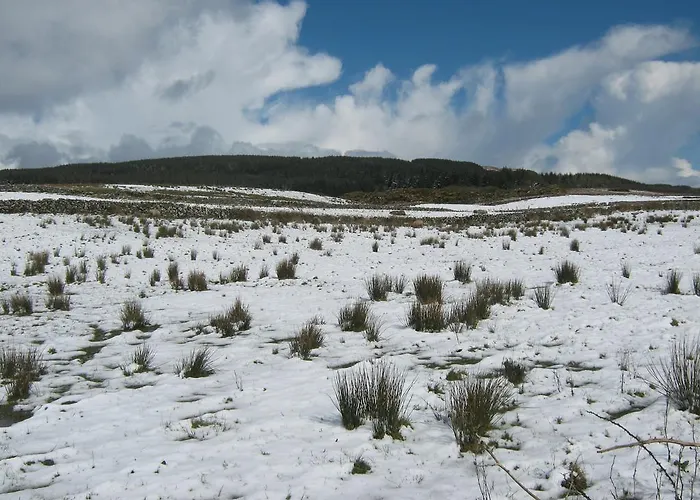 Bed and breakfast Slieve Elva *